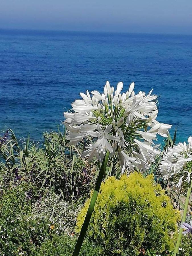 Ikaria Village Maisonette 12 Pafos Zewnętrze zdjęcie