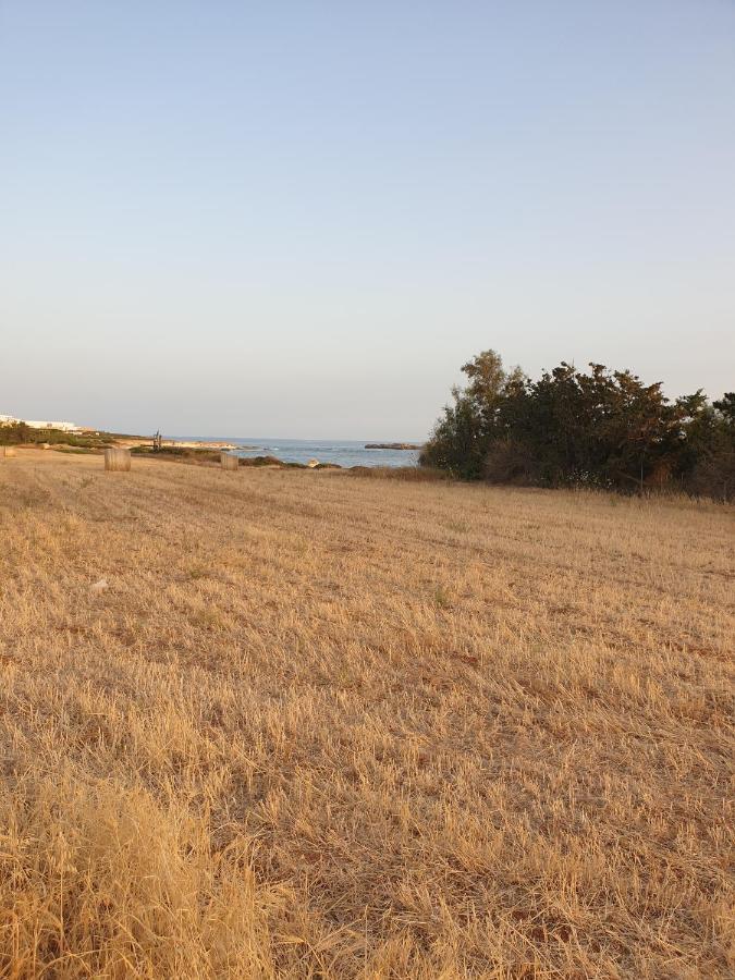 Ikaria Village Maisonette 12 Pafos Zewnętrze zdjęcie