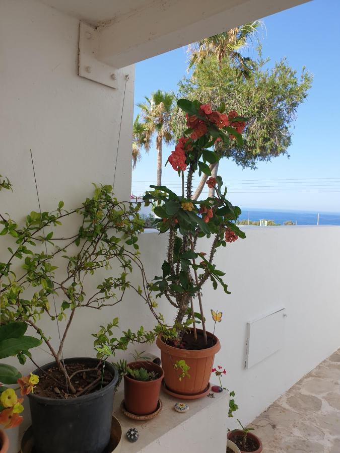 Ikaria Village Maisonette 12 Pafos Zewnętrze zdjęcie